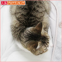 しあわせの重み_a0389088_19080654.jpg