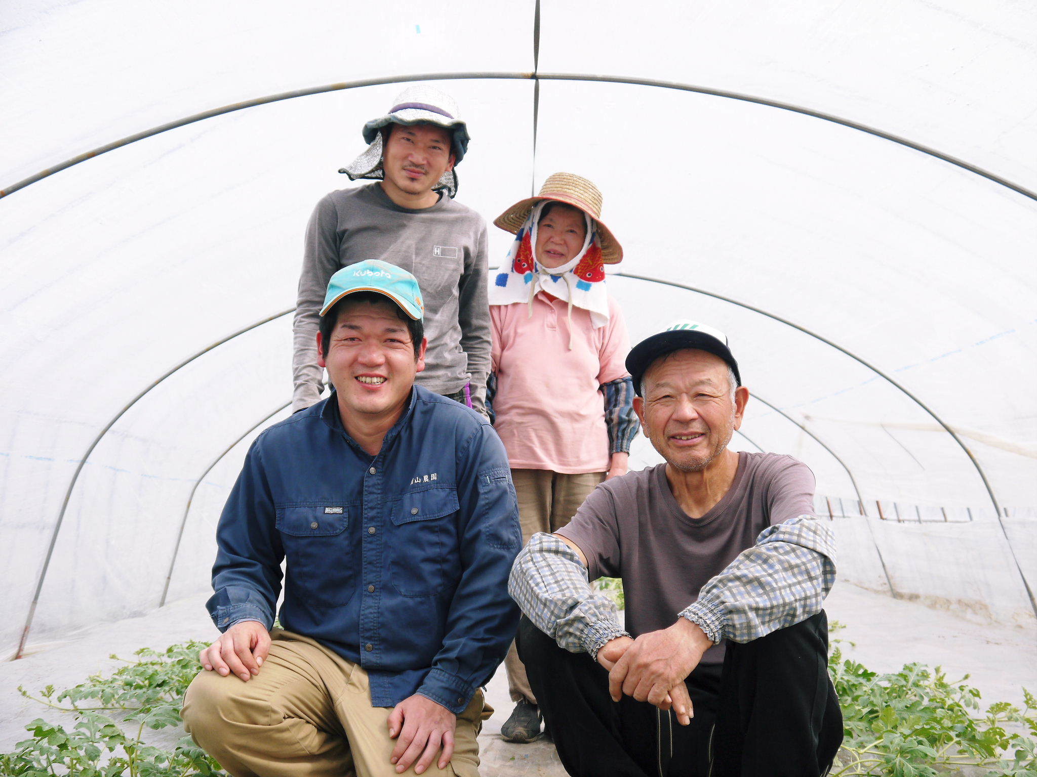 熊本産高級マスクメロン『肥後グリーン』令和3年度も6月上旬から出荷予定!定植直後と苗床の様子(前編)_a0254656_17060217.jpg