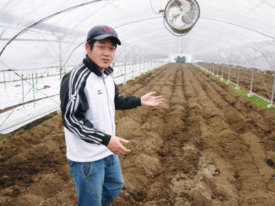 熊本産高級マスクメロン『肥後グリーン』令和3年度も6月上旬から出荷予定!定植直後と苗床の様子(後編)_a0254656_18332659.jpg