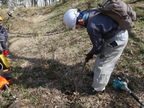 山ツツジが引き抜かれ、折られる3・4六国見山手入れ（中）_c0014967_10003161.jpg