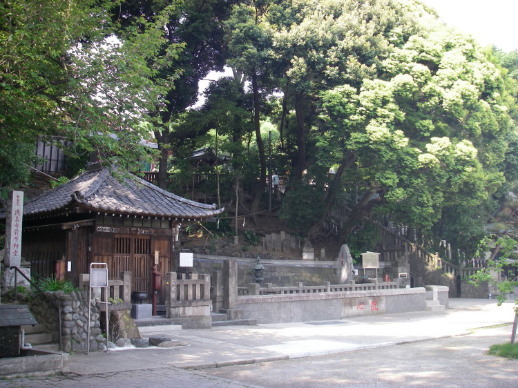 2008【春のフォトグラフ】花が咲いたら日記~多摩川土手・洗足池お花見、お台場、赤坂、ポリス再結成ツアーとサイン会、池上、野毛、高崎、深大寺【病気療養クローラー高松まで行く】_b0116271_22482283.jpg