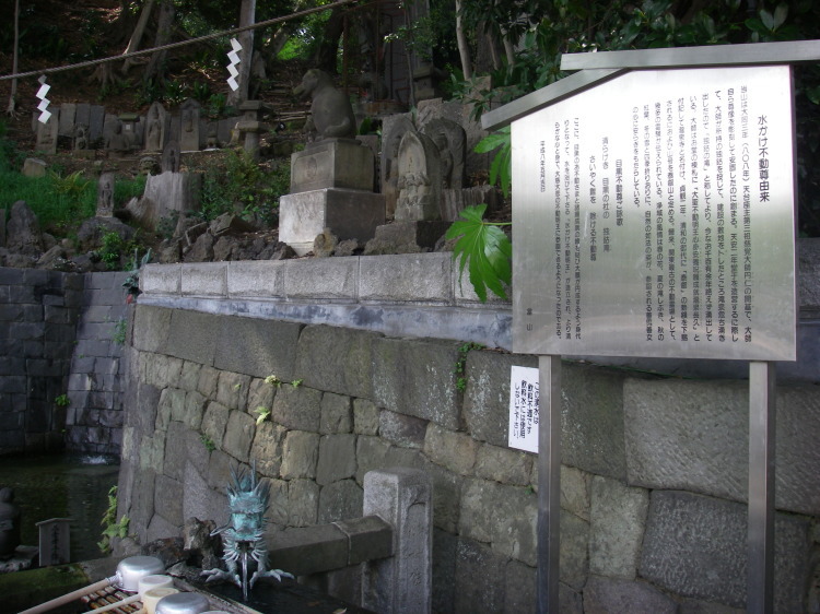 2008【春のフォトグラフ】花が咲いたら日記~多摩川土手・洗足池お花見、お台場、赤坂、ポリス再結成ツアーとサイン会、池上、野毛、高崎、深大寺【病気療養クローラー高松まで行く】_b0116271_22494348.jpg