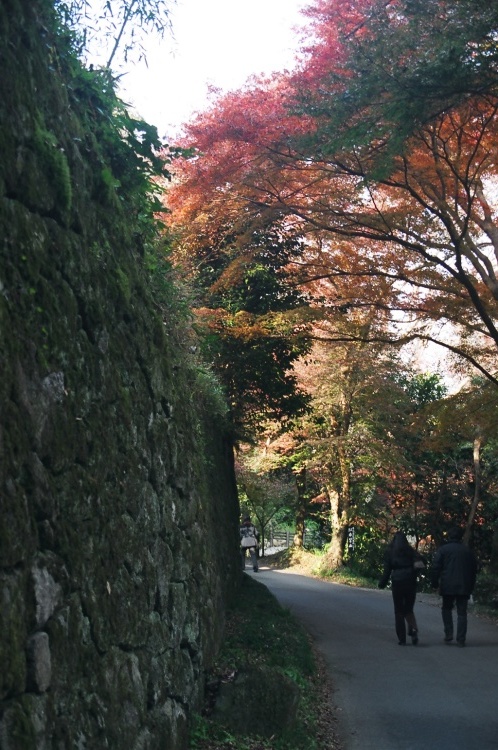 2005/11【奈良京都】紅葉だけをひたすら愛でる三日間の旅【酒船石遺構見に行く】１-2日目奈良（飛鳥）_b0116271_23470012.jpg