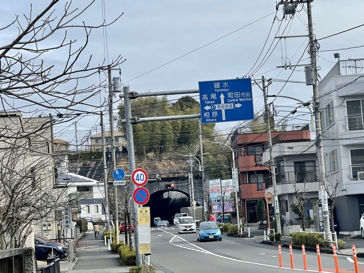 尾根緑道 オットとの散歩道_c0212604_13535011.jpeg