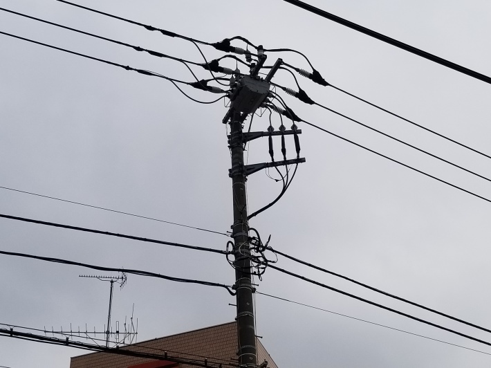 デンキンバシラ、って言わなかったかい 「電柱鳥類学 スズメはどこに止まってる?」(三上修)_e0016828_10294515.jpg