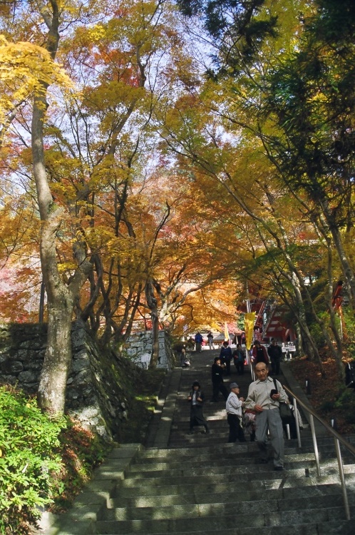 2005/11【奈良京都】紅葉だけをひたすら愛でる三日間の旅【酒船石遺構見に行く】１-2日目奈良（飛鳥）_b0116271_00013264.jpg