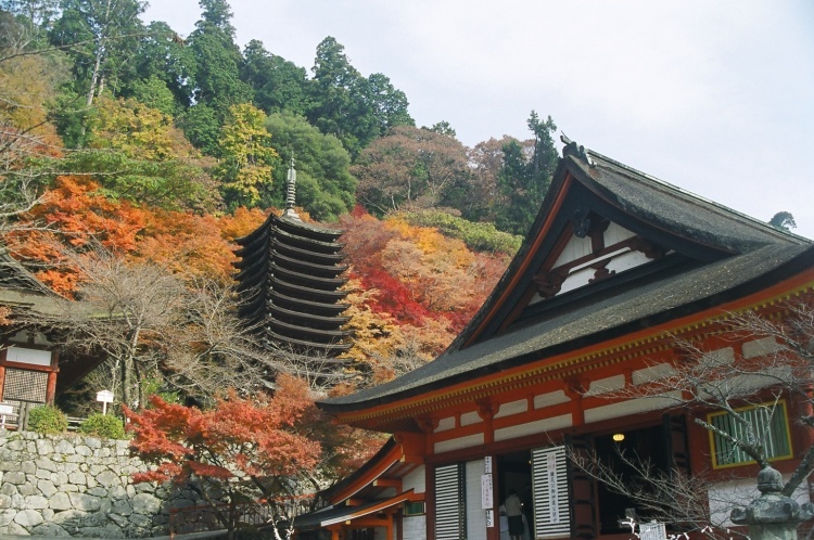 2005/11【奈良京都】紅葉だけをひたすら愛でる三日間の旅【酒船石遺構見に行く】１-2日目奈良（飛鳥）_b0116271_00060727.jpg