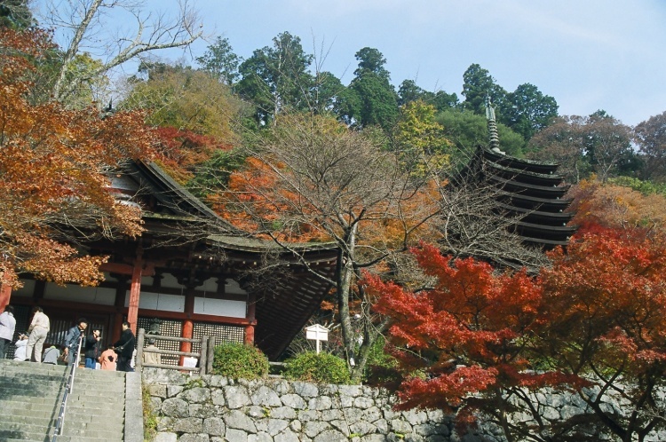 2005/11【奈良京都】紅葉だけをひたすら愛でる三日間の旅【酒船石遺構見に行く】１-2日目奈良（飛鳥）_b0116271_00070806.jpg