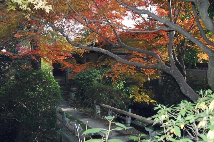 2005/11【奈良京都】紅葉だけをひたすら愛でる三日間の旅【酒船石遺構見に行く】１-2日目奈良（飛鳥）_b0116271_00094638.jpg