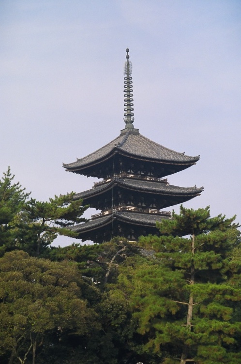 2005/11【奈良京都】紅葉だけをひたすら愛でる三日間の旅【酒船石遺構見に行く】１-2日目奈良（飛鳥）_b0116271_00121951.jpg