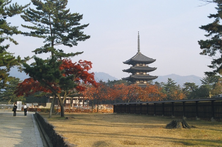 2005/11【奈良京都】紅葉だけをひたすら愛でる三日間の旅【酒船石遺構見に行く】１-2日目奈良（飛鳥）_b0116271_00144737.jpg