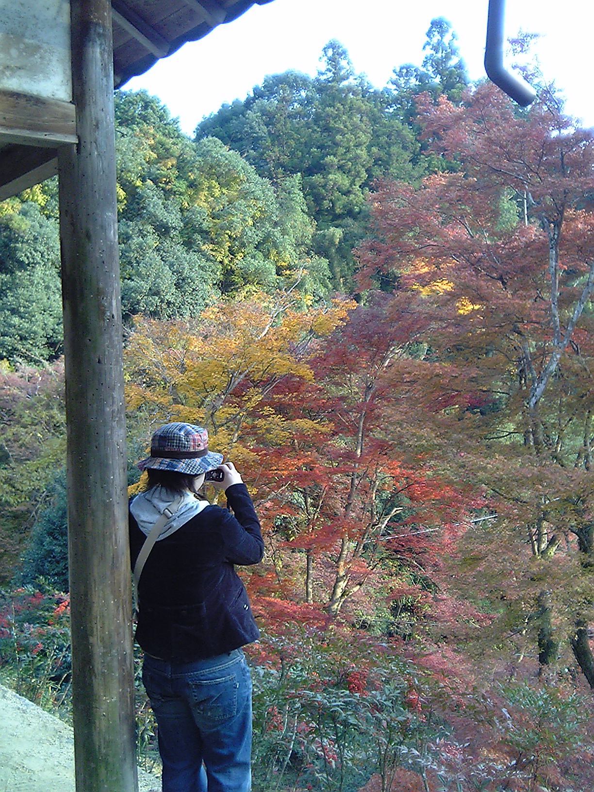 2005/11【奈良京都】紅葉だけをひたすら愛でる三日間の旅【酒船石遺構見に行く】１-2日目奈良（飛鳥）_b0116271_23430629.jpg