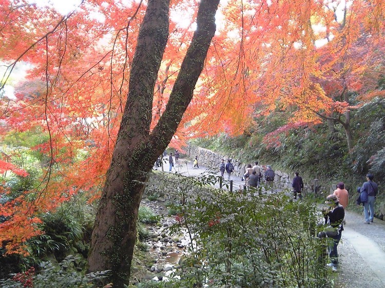 2005/11【奈良京都】紅葉だけをひたすら愛でる三日間の旅【酒船石遺構見に行く】１-2日目奈良（飛鳥）_b0116271_23492248.jpg