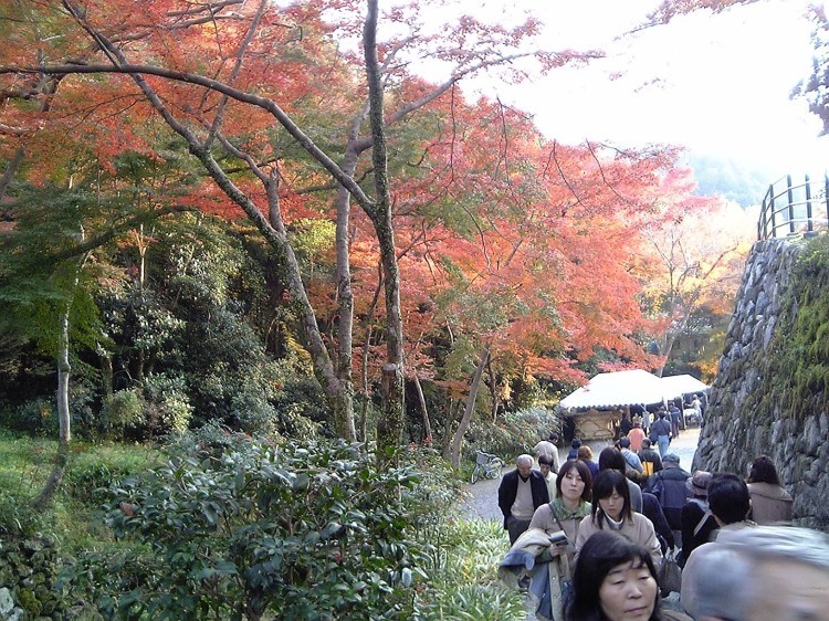 2005/11【奈良京都】紅葉だけをひたすら愛でる三日間の旅【酒船石遺構見に行く】１-2日目奈良（飛鳥）_b0116271_23492330.jpg