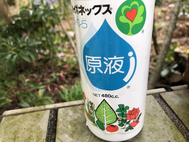 土曜日。_a0394574_16434151.jpeg