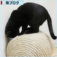 ついに日の目が！_a0389088_10380040.jpg