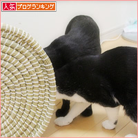 ついに日の目が！_a0389088_10380098.jpg