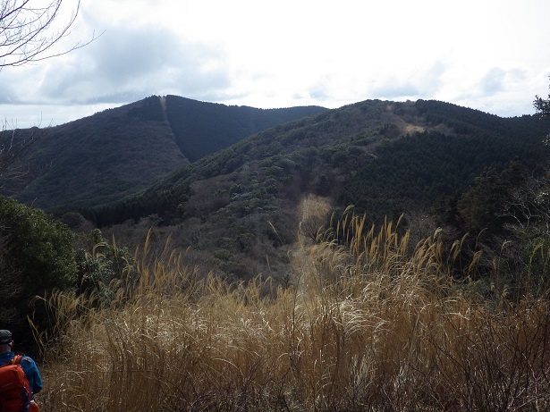 峰入り道・秋峰ルートを歩く・・・②上野（源平桜）への分岐～金辺峠_e0164643_15154352.jpg