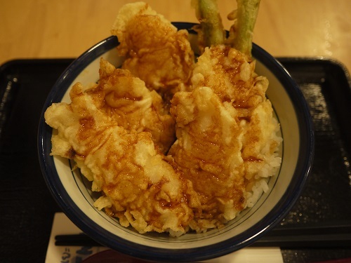 モーチットからセントラルラートプラーオ直行、そしててんやのNAMAZU天丼_c0030645_17434856.jpg