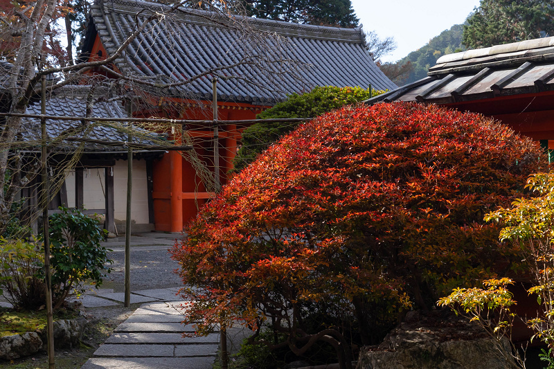 2020紅葉きらめく京都　艶秋の毘沙門堂_f0155048_23043048.jpg