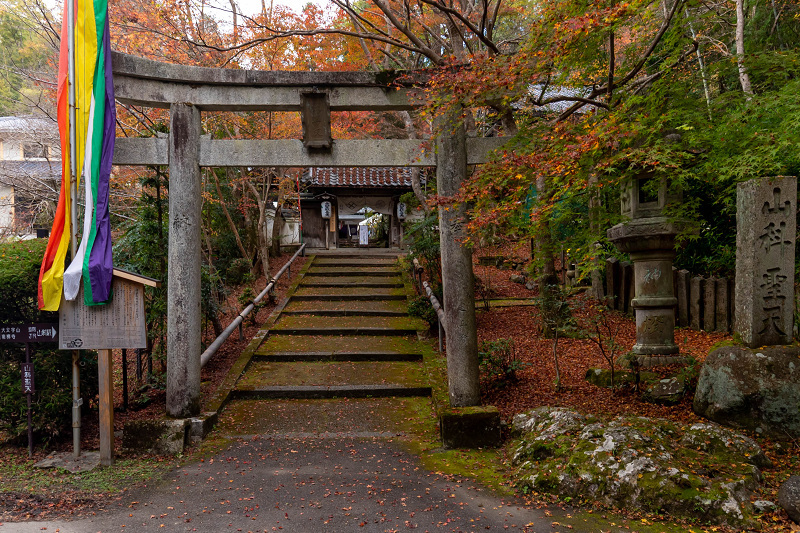 2020紅葉きらめく京都　艶秋の毘沙門堂_f0155048_23104415.jpg