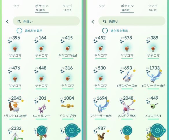 コミュニティデイ ヤヤコマ 無色日記
