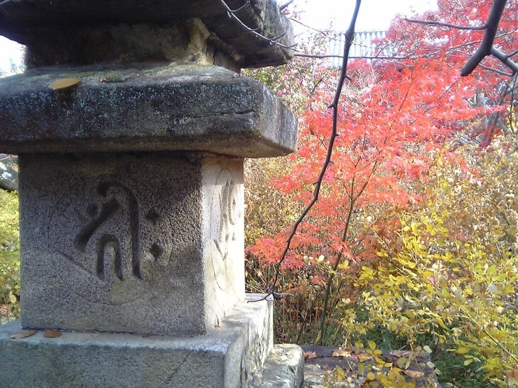 2005/11【奈良京都】紅葉だけをひたすら愛でる三日間の旅【酒船石遺構見に行く】１-2日目奈良（飛鳥）_b0116271_00260941.jpg