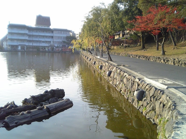 2005/11【奈良京都】紅葉だけをひたすら愛でる三日間の旅【酒船石遺構見に行く】１-2日目奈良（飛鳥）_b0116271_00414165.jpg