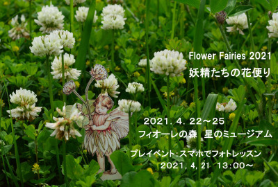 「Flower Fairies 2021  妖精たちの花便り」 & スマホでカメラレッスン_a0252678_17142250.jpg