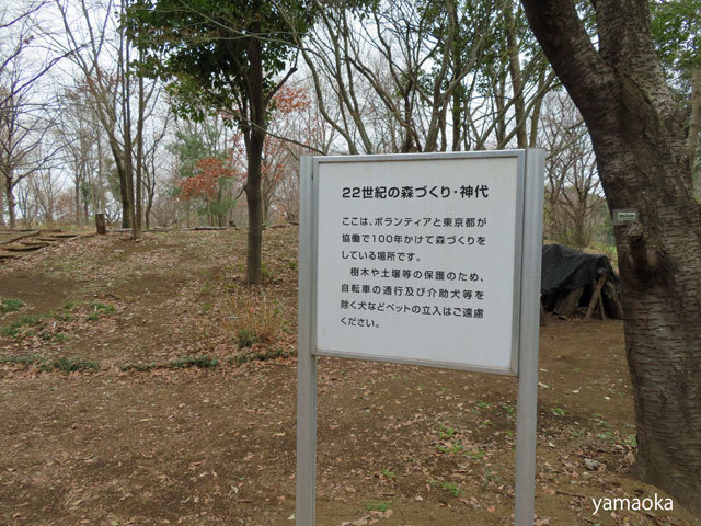 22世紀の森へ足を踏み入れる。_f0071480_17210334.jpg