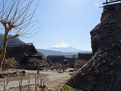 西湖 いやしの里 根場_c0137404_14091428.jpg