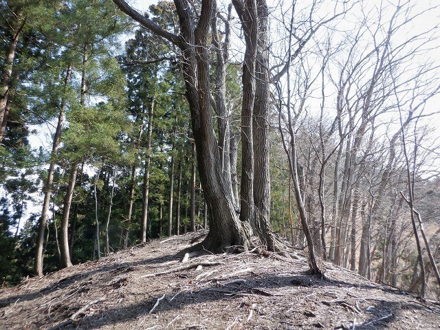 下仁田町　早春の西上州は藤山から岩山へのシビれるナイフリッジではじまった　　　　　Mount Fuji in Shimonita, Gunma_f0308721_22095538.jpg