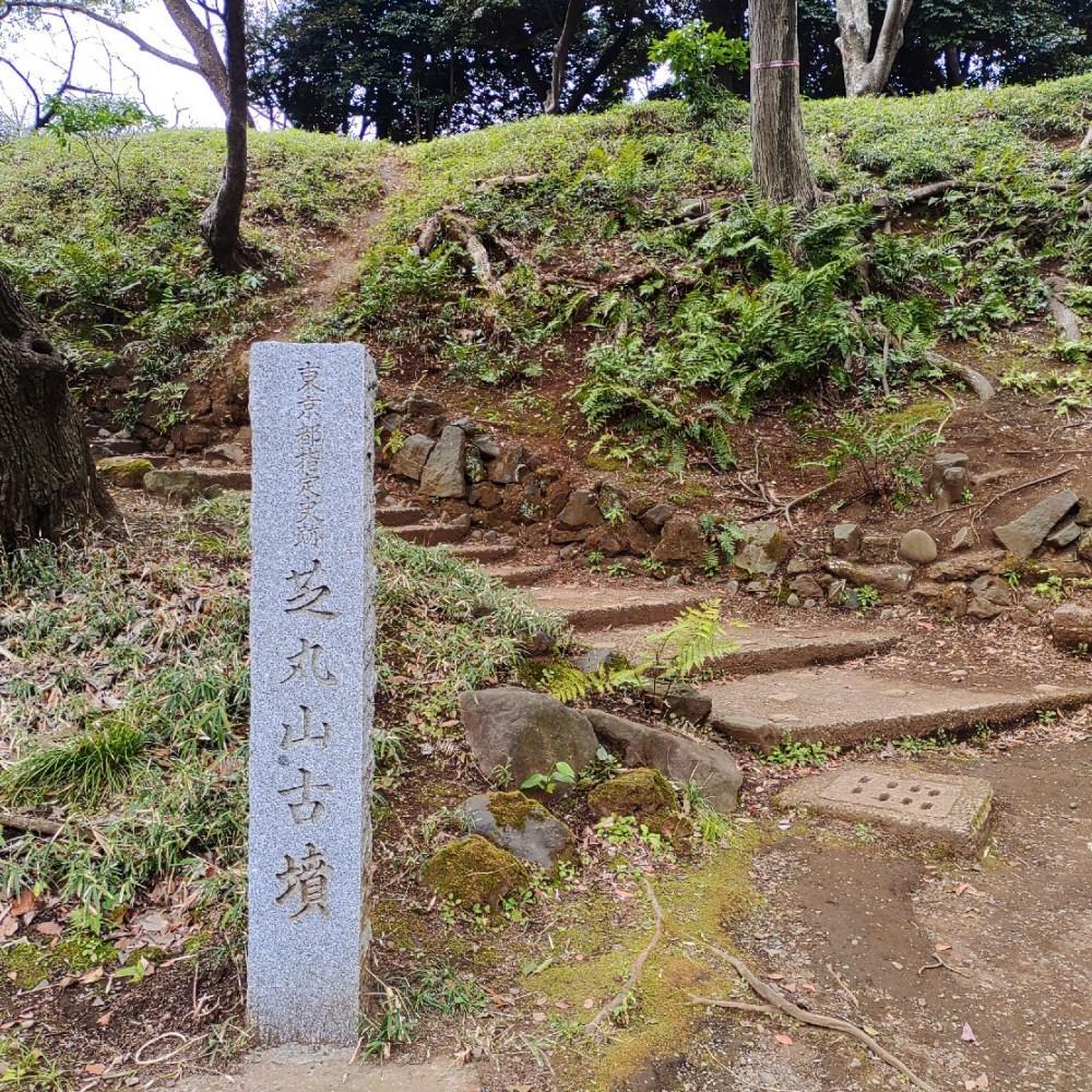 芝公園にある古墳_c0060143_22163416.jpg