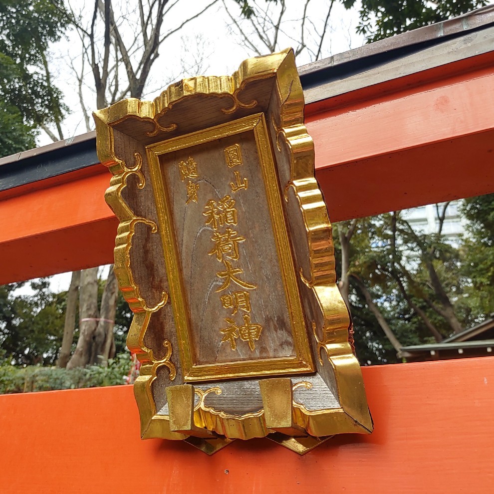 稲荷神社のシマウマ_c0060143_22172482.jpg
