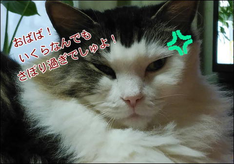 超お久しぶりで~す!_d0139352_19493732.jpg
