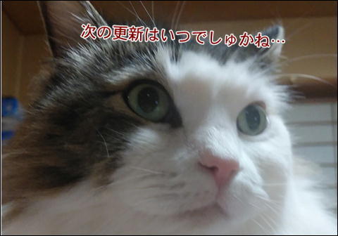 超お久しぶりで~す!_d0139352_22524209.jpg