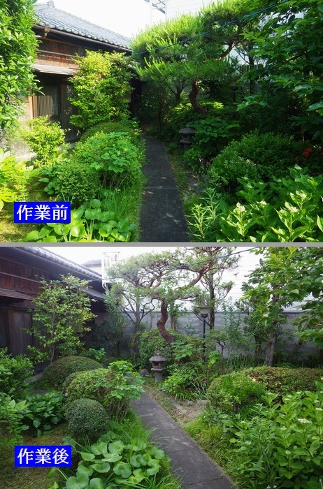 昨年は雨でした。_b0399773_16403783.jpg