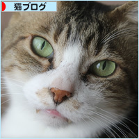 バーバーでかお_a0389088_17051354.jpg