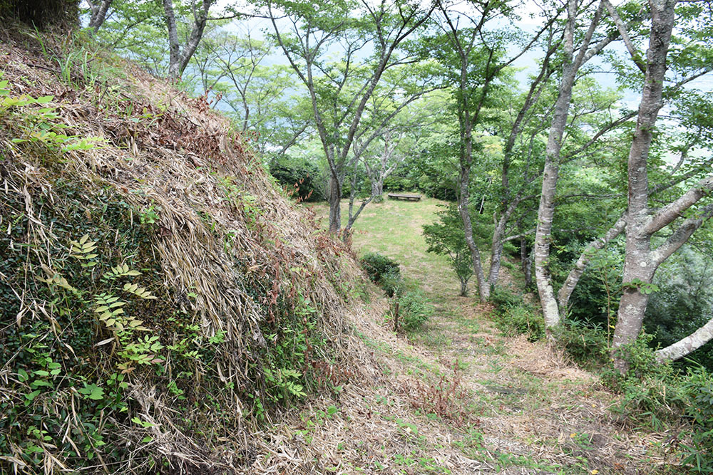 周匝茶臼山城跡を歩く。 その2 <主郭・腰曲輪・空堀>_e0158128_17564140.jpg
