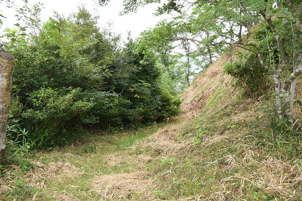 周匝茶臼山城跡を歩く。 その2 <主郭・腰曲輪・空堀>_e0158128_17584830.jpg