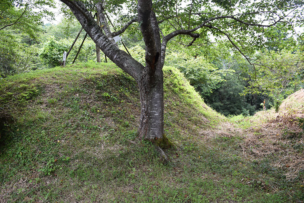周匝茶臼山城跡を歩く。 その2 <主郭・腰曲輪・空堀>_e0158128_18085708.jpg