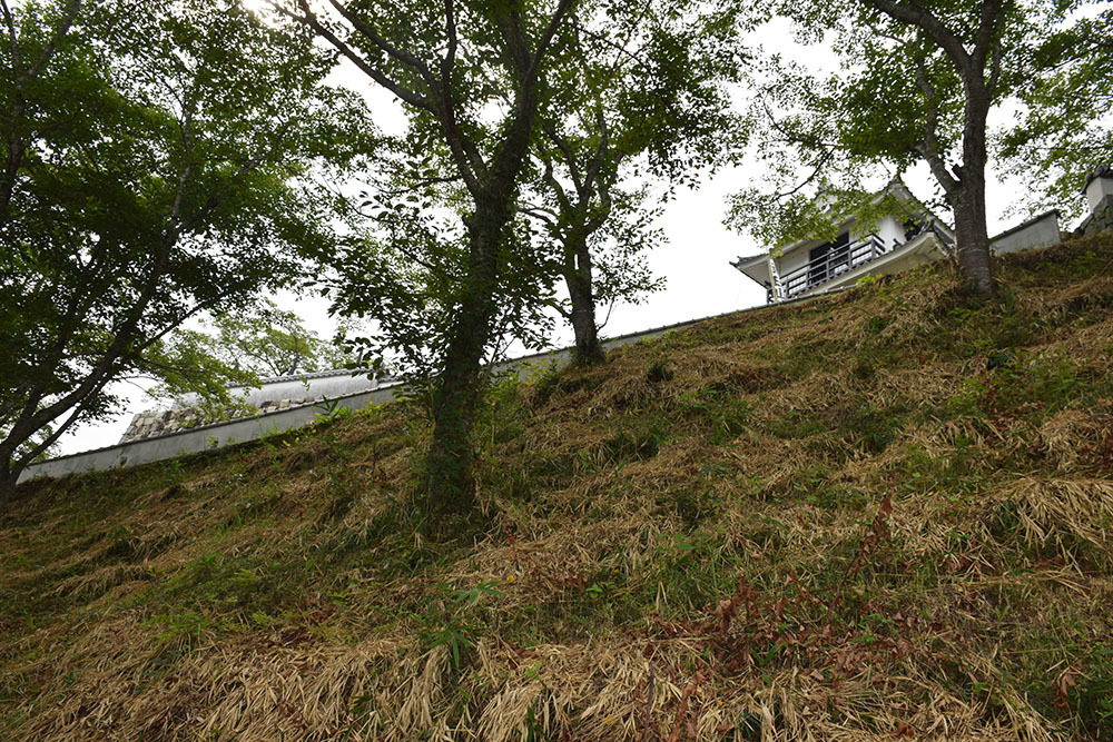 周匝茶臼山城跡を歩く。 その2 <主郭・腰曲輪・空堀>_e0158128_18190832.jpg