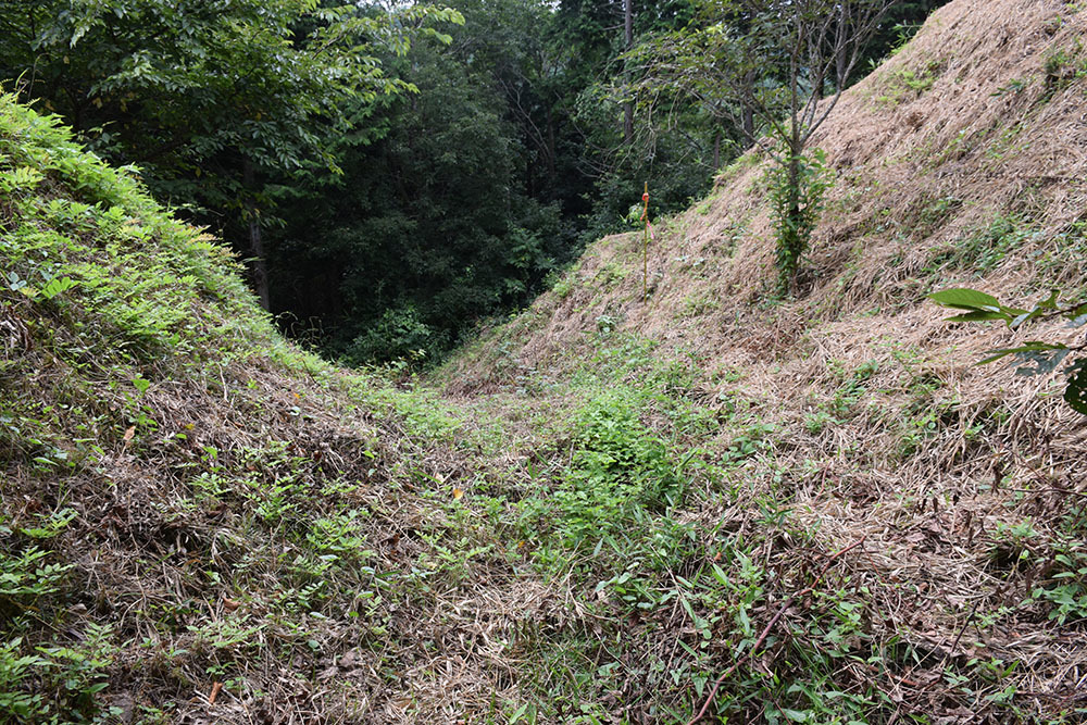 周匝茶臼山城跡を歩く。 その2 <主郭・腰曲輪・空堀>_e0158128_18253783.jpg