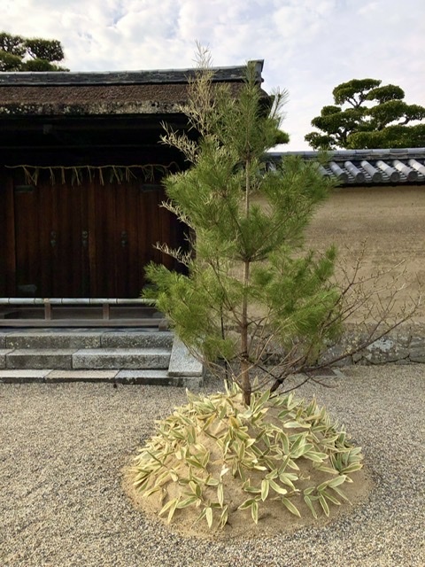 奈良の旅 16 法隆寺夢殿_a0092659_15193271.jpeg