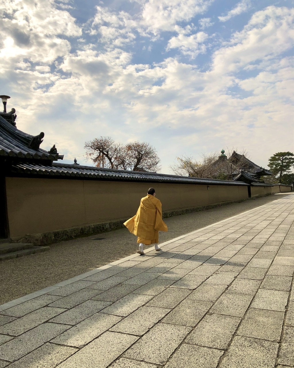 奈良の旅 15　法隆寺　大宝蔵院の宝物_a0092659_15232755.jpeg