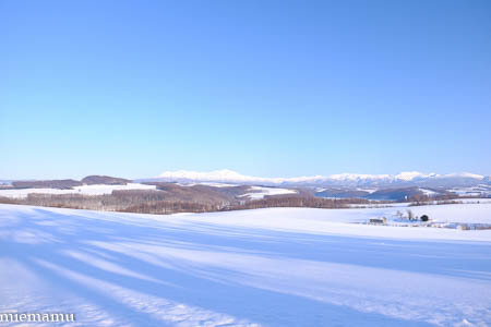静かな冬景色Vol.2~1月の美瑛_d0340565_20123727.jpg