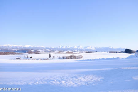 静かな冬景色Vol.2~1月の美瑛_d0340565_20124342.jpg