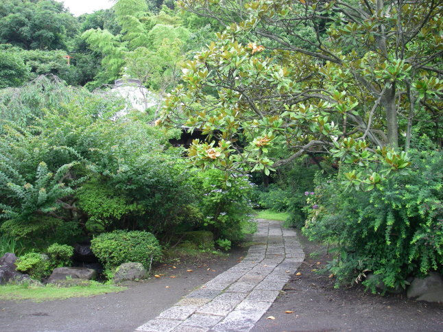 2007/7/12【鎌倉逍遥】北鎌倉初夏ミニ散歩【海蔵寺十六井戸】_b0116271_11124056.jpg
