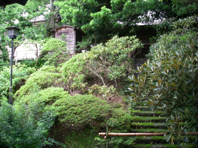 2007/7/12【鎌倉逍遥】北鎌倉初夏ミニ散歩【海蔵寺十六井戸】_b0116271_11124270.jpg
