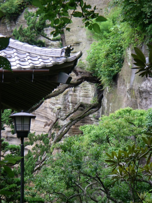 2007/7/12【鎌倉逍遥】北鎌倉初夏ミニ散歩【海蔵寺十六井戸】_b0116271_11323641.jpg